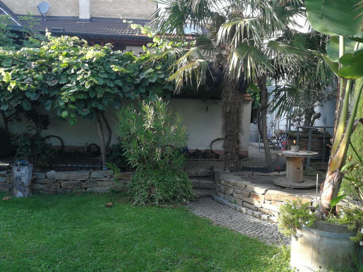 Bed and Breakfast Haus Bienen à Ihringen Extérieur photo
